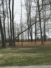 1030 Mission Acres photo